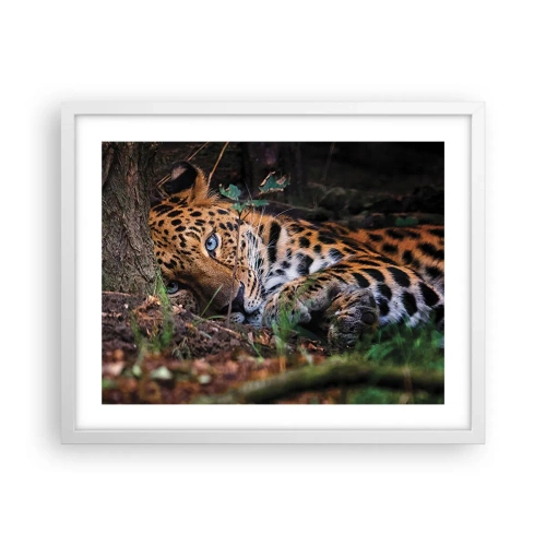 Poster in een witte lijst - Geloof me - 50x40 cm