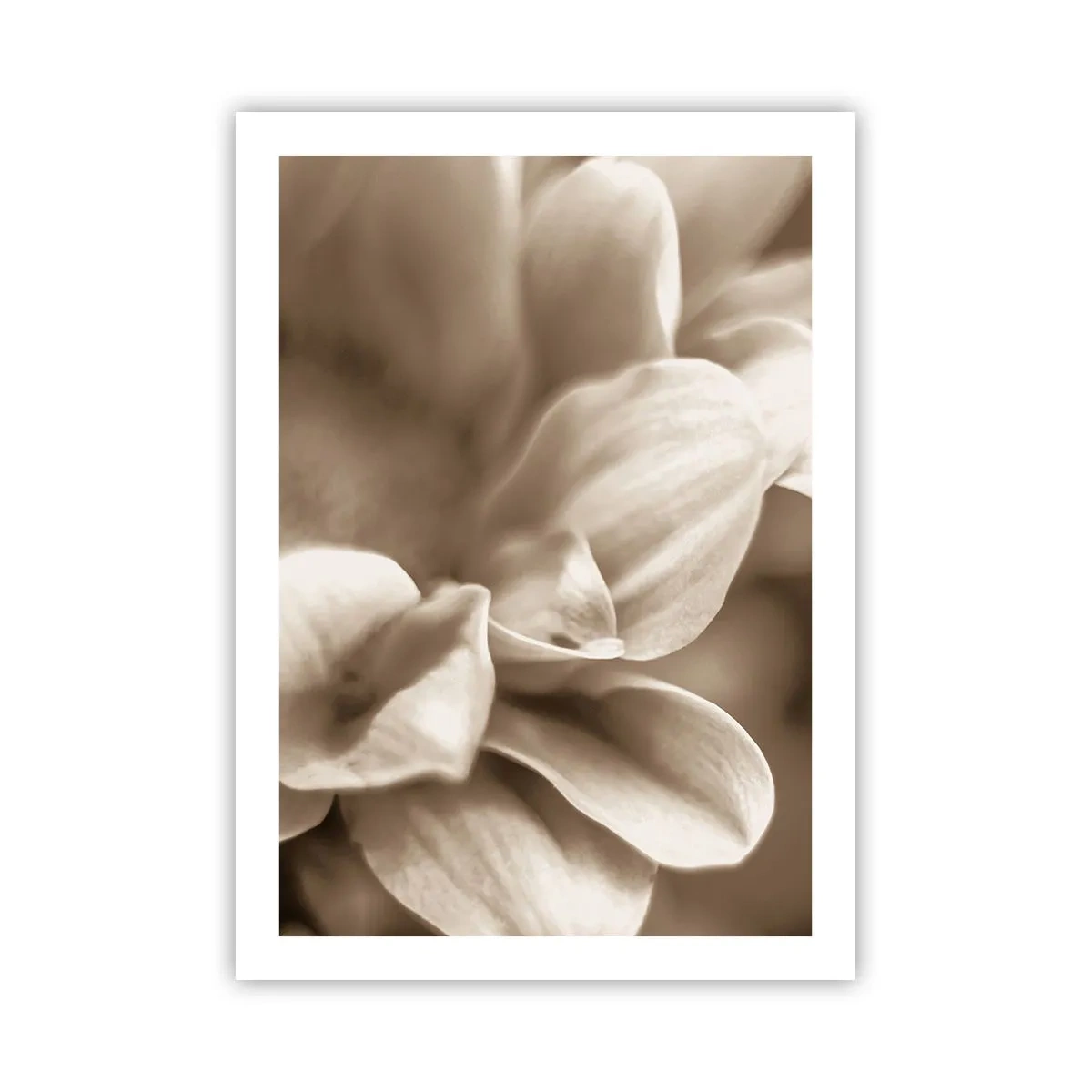 Poster - Zo zacht als een glimlach - 50x70 cm