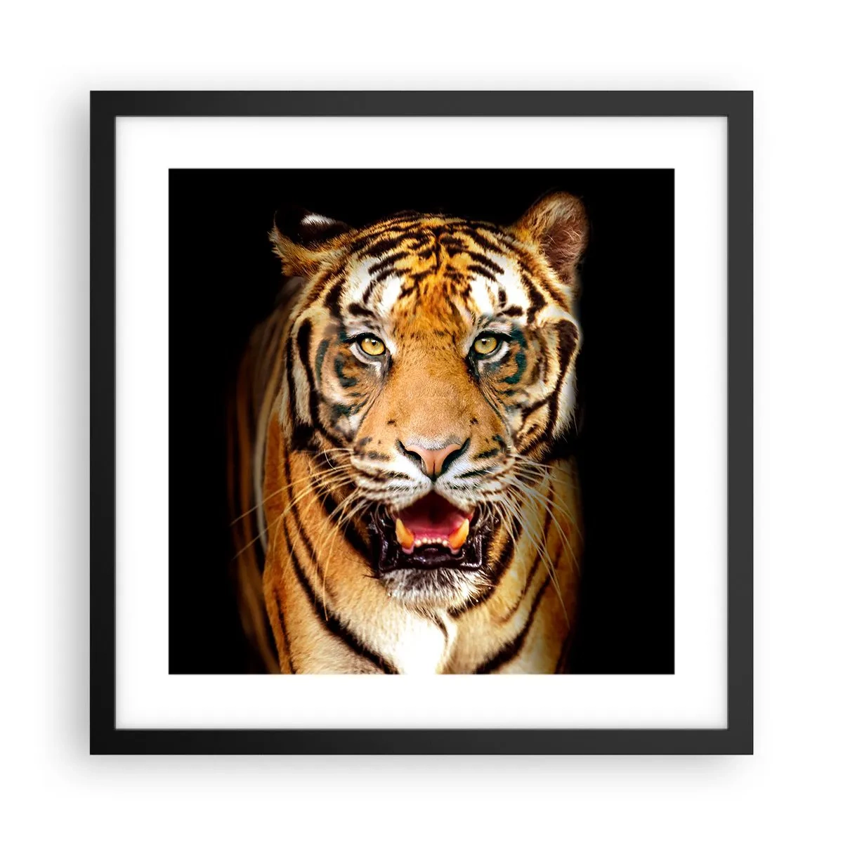 Poster in een zwarte lijst - Wildheid in het hart - 40x40 cm