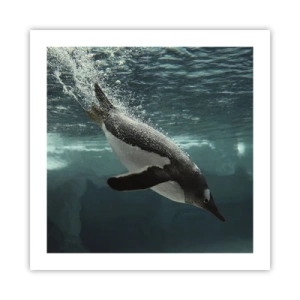 Poster - Welkom in mijn wereld - 50x50 cm