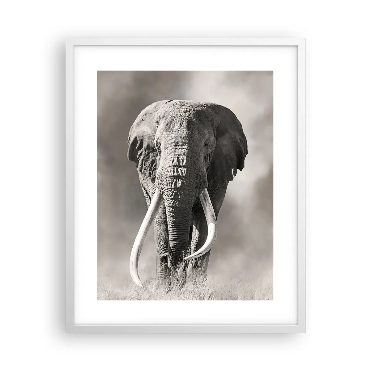 Poster in een witte lijst - Afrikaanse patriarch - 40x50 cm