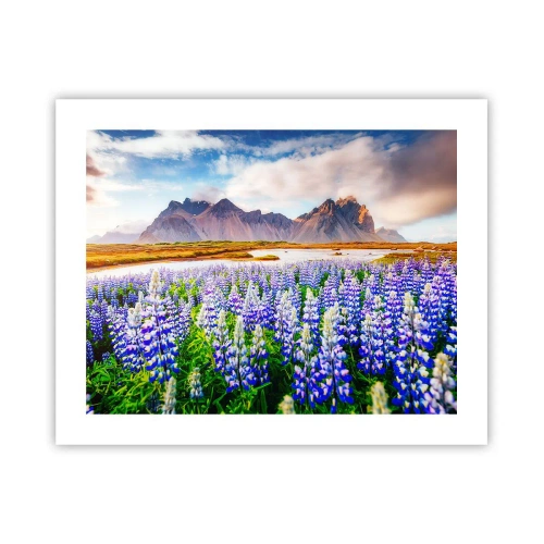 Poster - Kracht en soberheid naast zachtheid - 50x40 cm