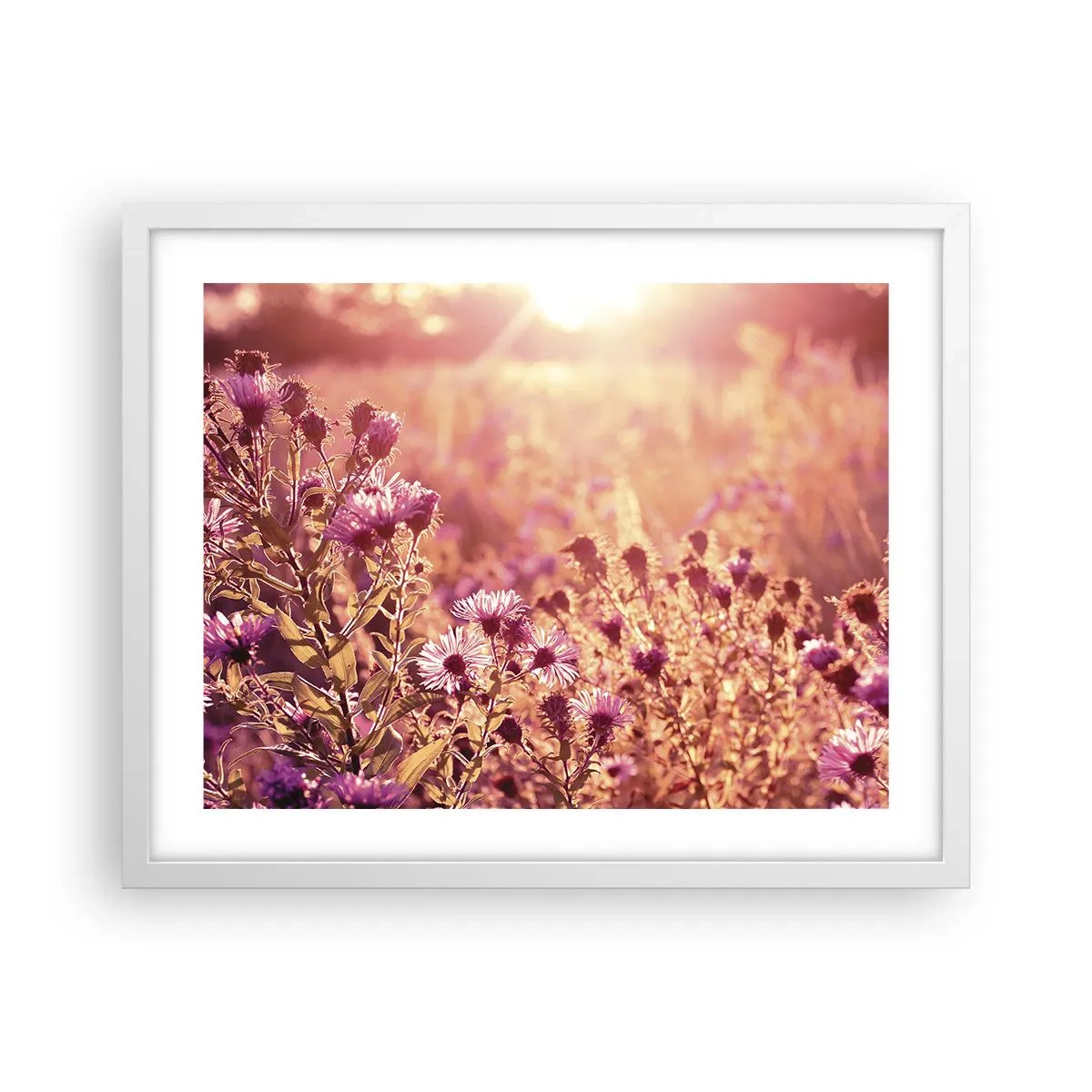 Poster in een witte lijst - Voordat de zomer voorbij is - 50x40 cm