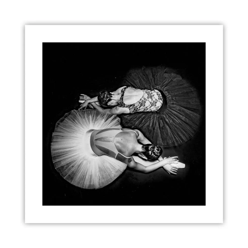 Poster - Jin en Jang - perfecte balans - 40x40 cm