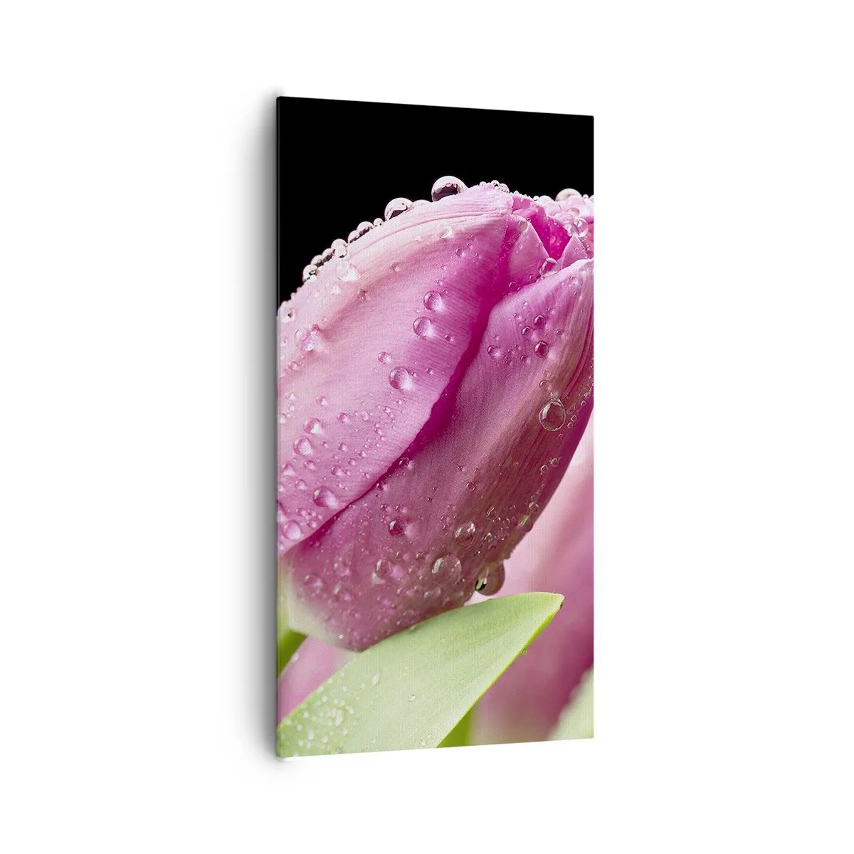 Schilderen op canvas - Lila droom in dauw - 65x120 cm