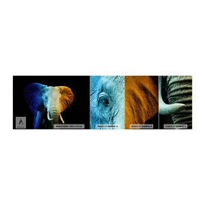 Fotobehang Monster Zelfklevend Deluxe Sticker - Excentriek, niet raar - Abstractie, Olifant, Dieren - 100x30 cm