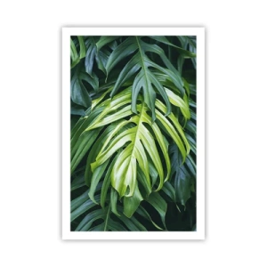 Poster - Dompel jezelf onder in de frisheid - 61x91 cm