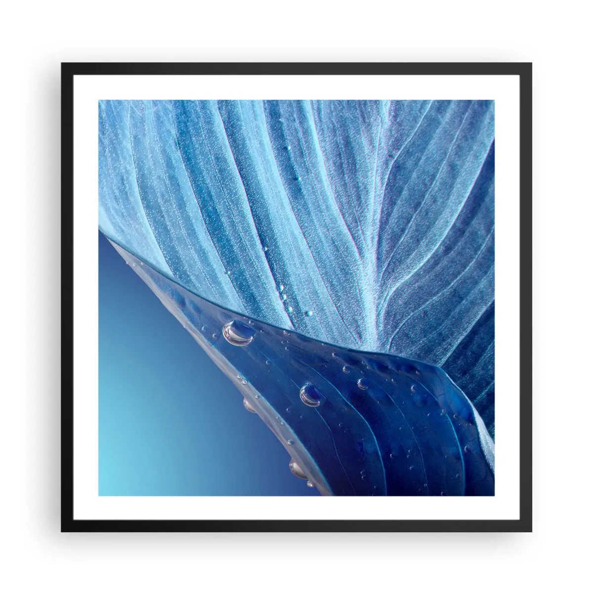 Poster in een zwarte lijst - Verborgen druppels blauw - 60x60 cm