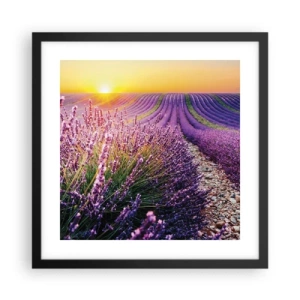 Poster in een zwarte lijst - Geurige korenvelden - 40x40 cm