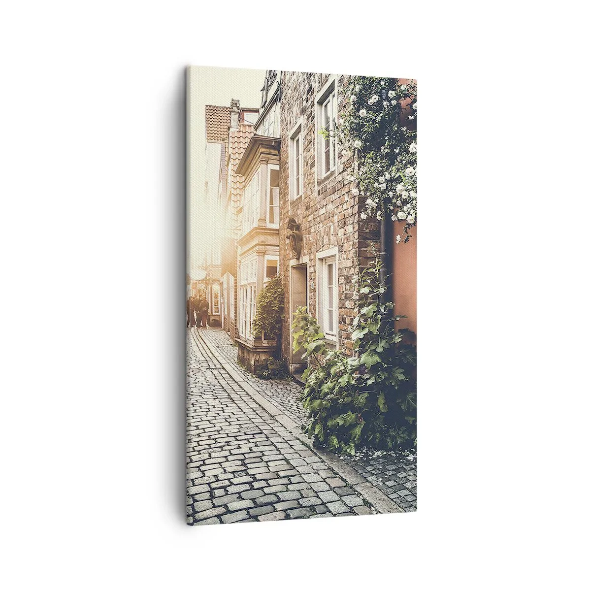 Schilderen op canvas - Rozensteeg in roze gloed - 45x80 cm