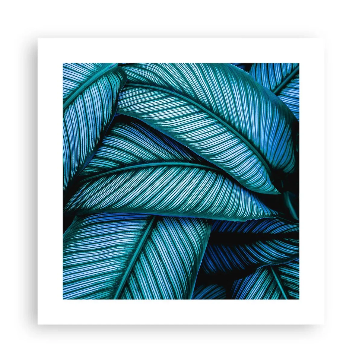 Poster - Levens lijnen - 40x40 cm