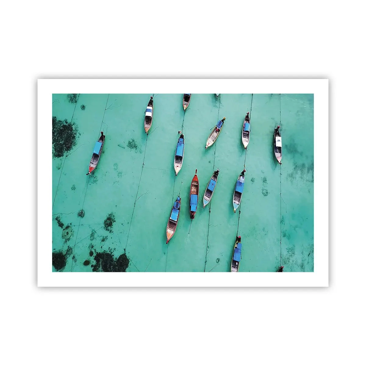 Poster - In blijde verwachting - 70x50 cm