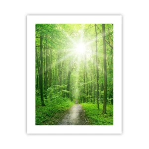 Poster - De groene kathedraal - 40x50 cm