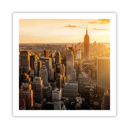 Poster - Groeien in de zon - 60x60 cm