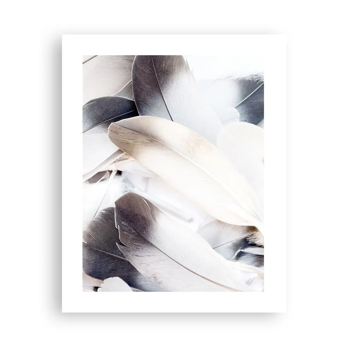 Poster - Bijna engelachtig - 40x50 cm
