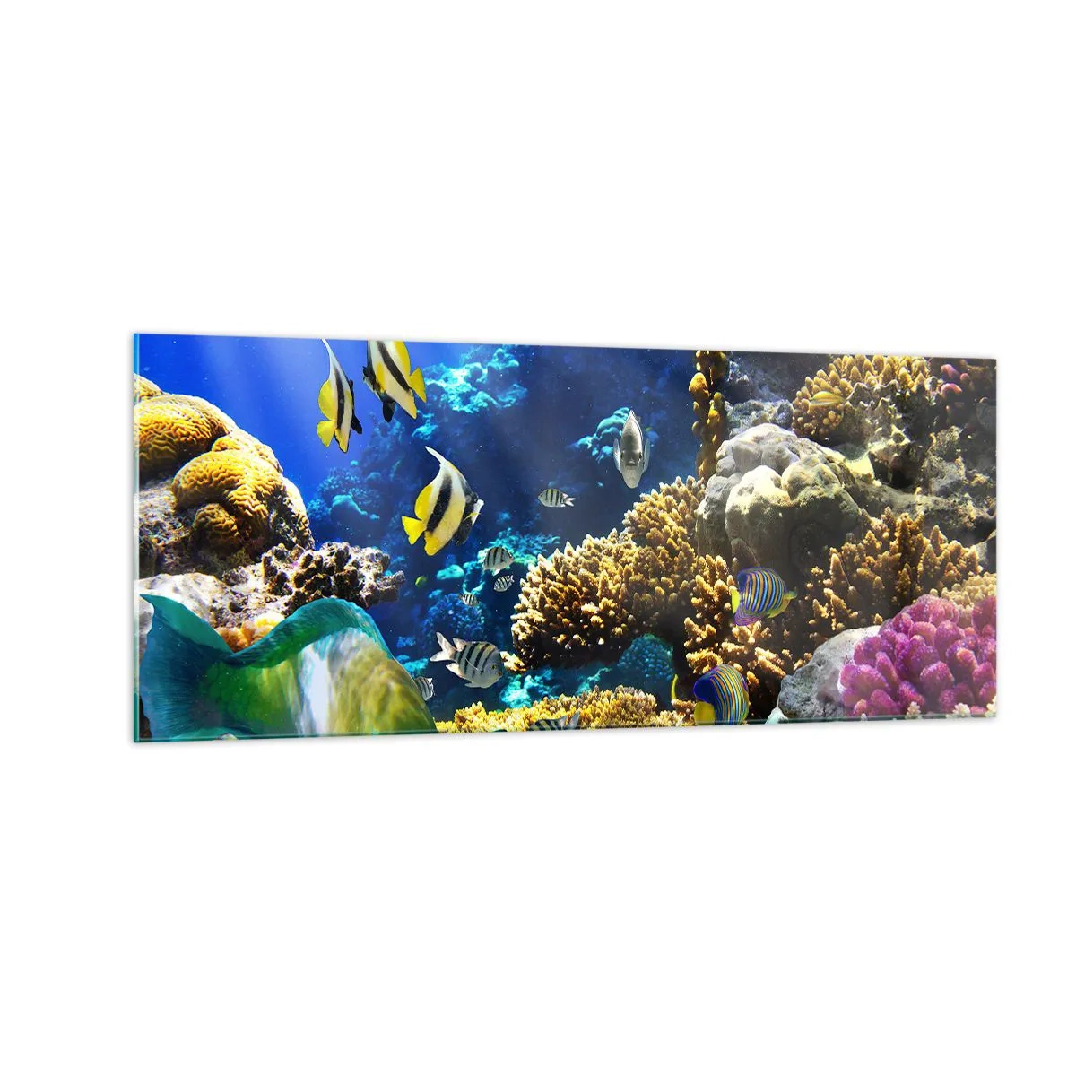 Schilderen op glas - Veel verkeer op de vakantieroute - 100x40 cm