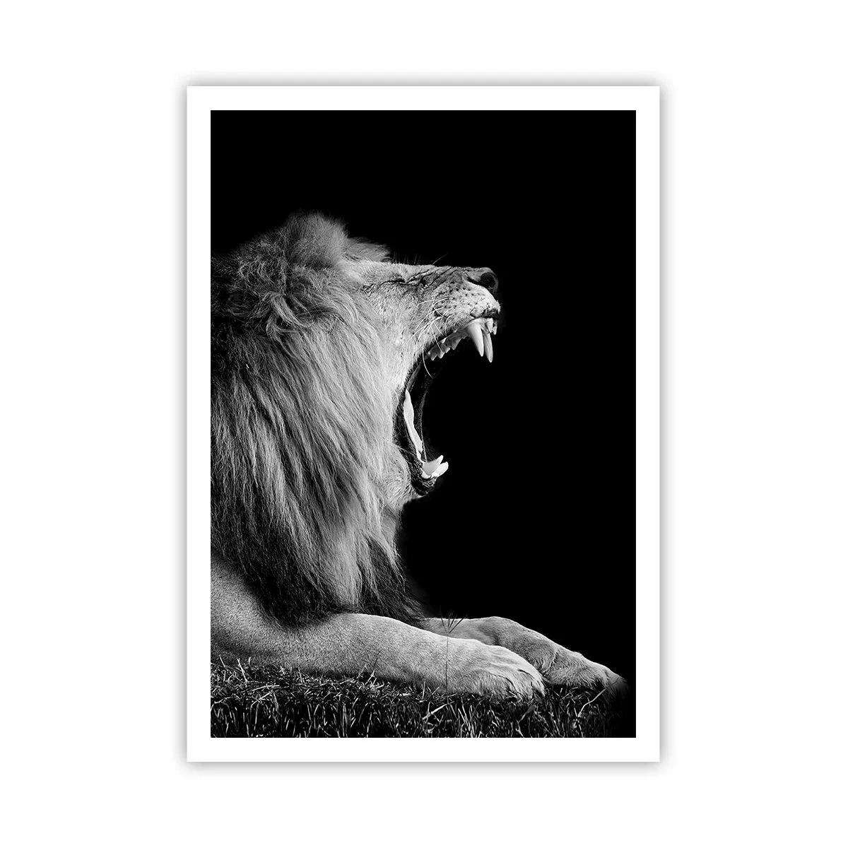 Poster - Zonder enige twijfel - 70x100 cm