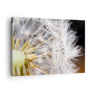 Schilderen op canvas - Macrofotografie van een paardenbloem met delicate zaden - 70x50cm - Net voor vertrek - Moderne wanddecoratie voor woonkamer en slaapkamer ARTTOR