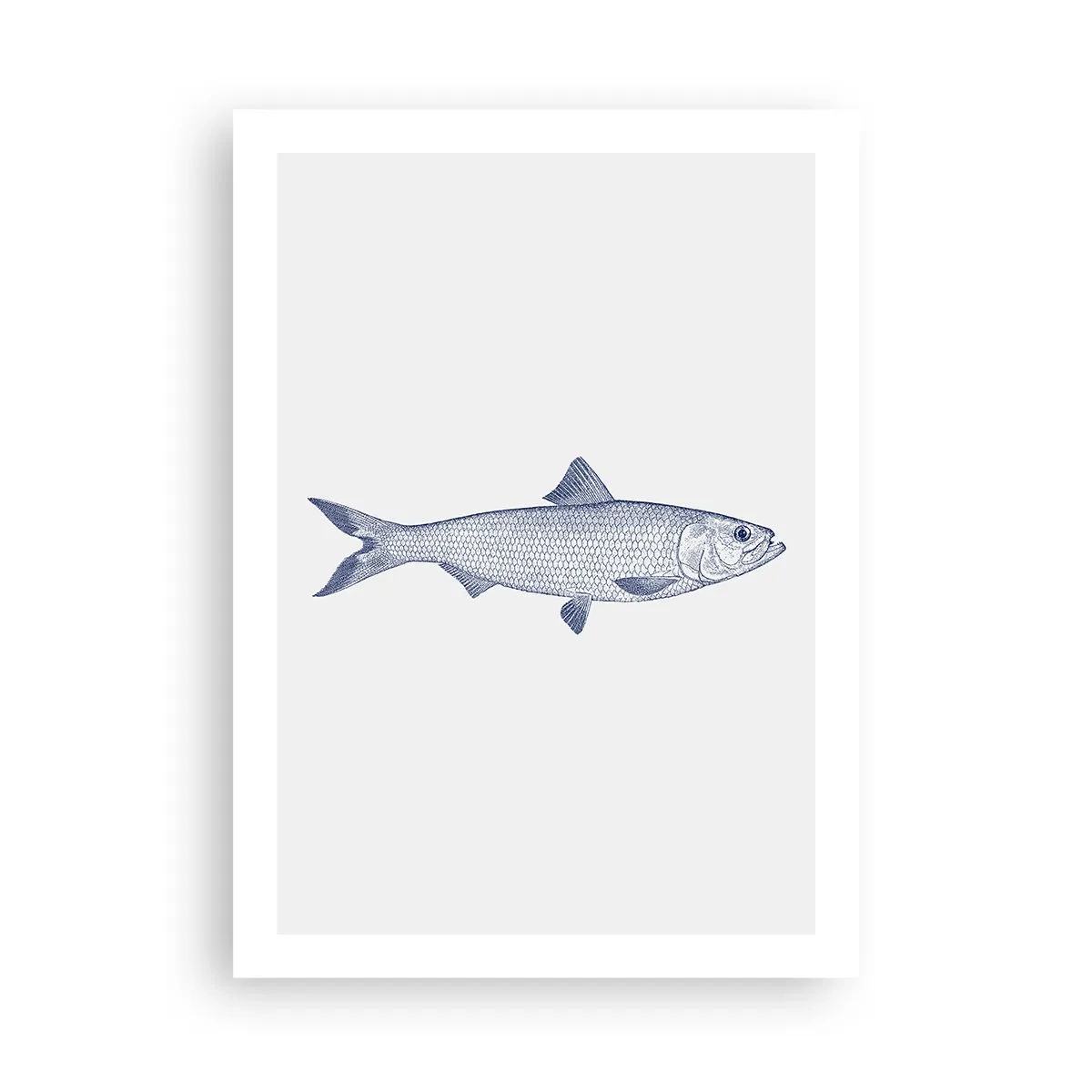 Poster - Groeten uit de noordelijke zeeën - 50x70 cm