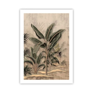 Poster - Een gravure in koloniale stijl - 50x70 cm