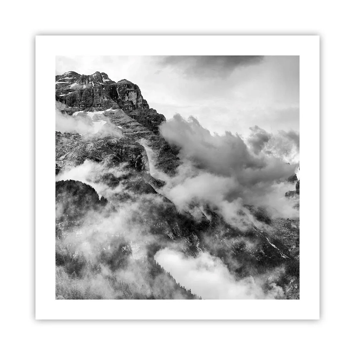 Poster - Mooi en wreed - 50x50 cm