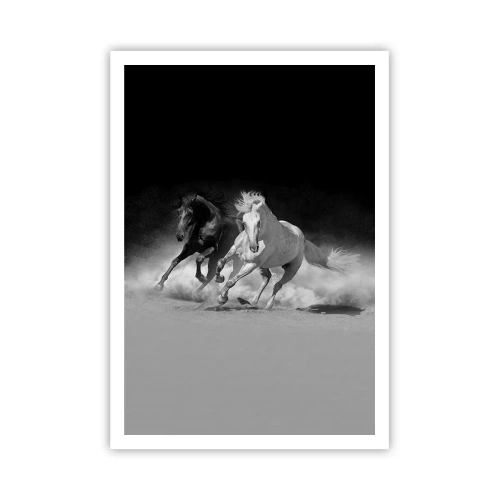 Poster - Vrijheidsgalop - 70x100 cm