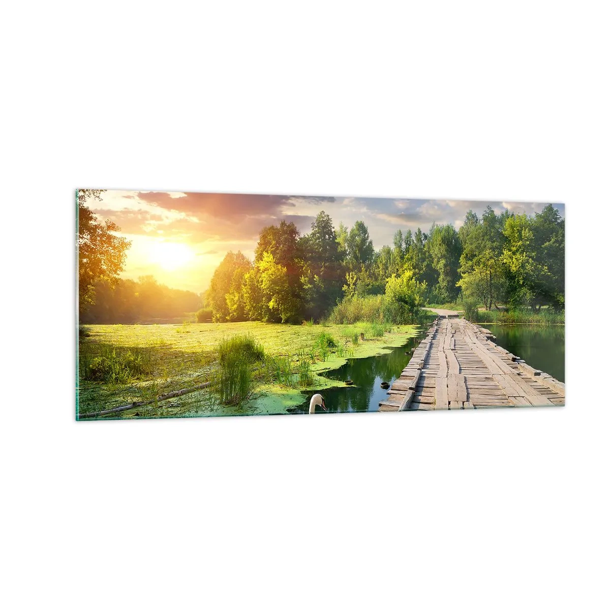 Schilderen op glas - Zomer, zomer overal - 100x40 cm