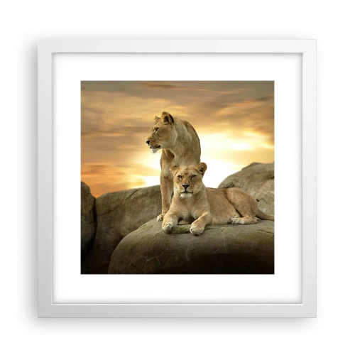 Poster in een witte lijst - Koninklijke majesteit - 30x30 cm