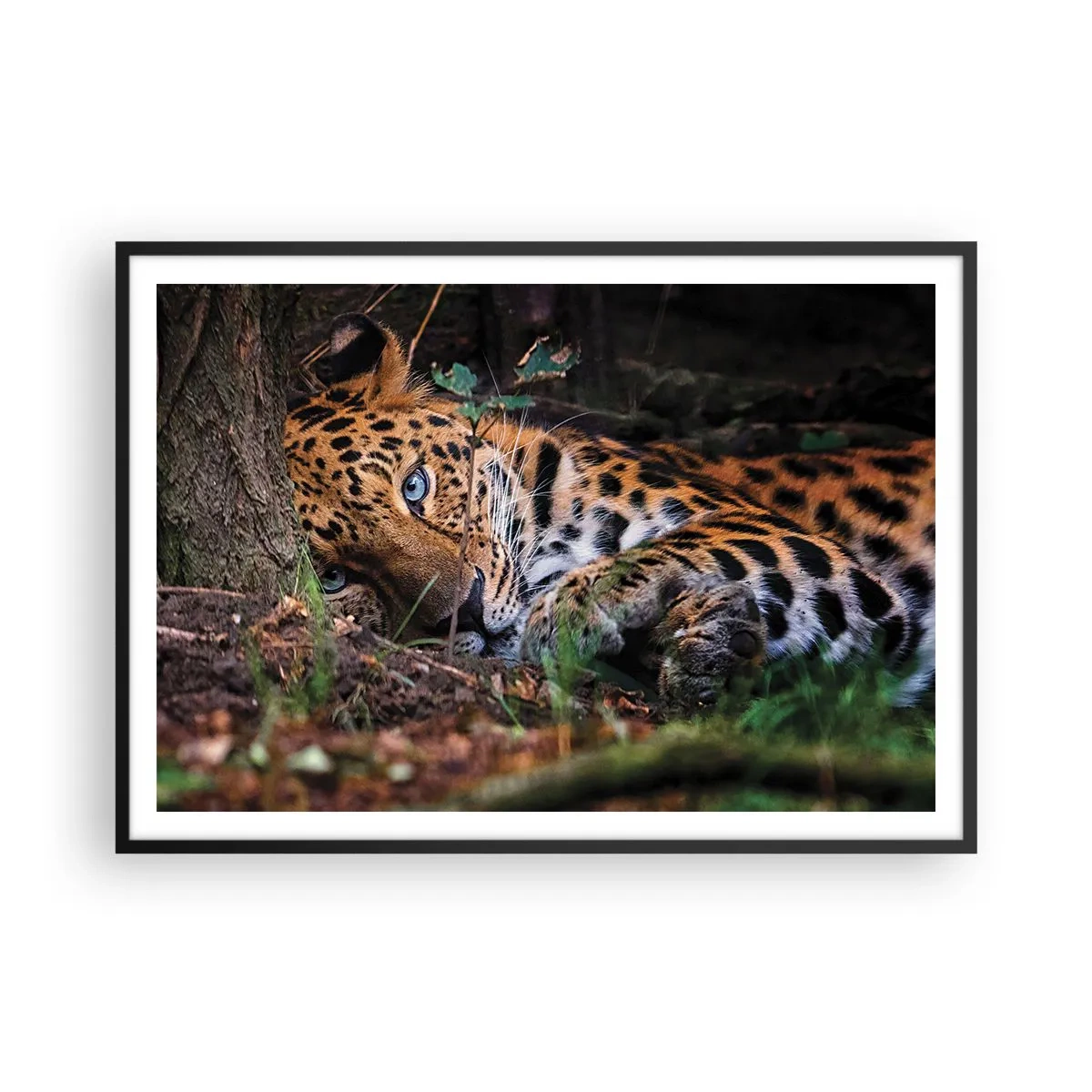 Poster in een zwarte lijst - Geloof me - 100x70 cm