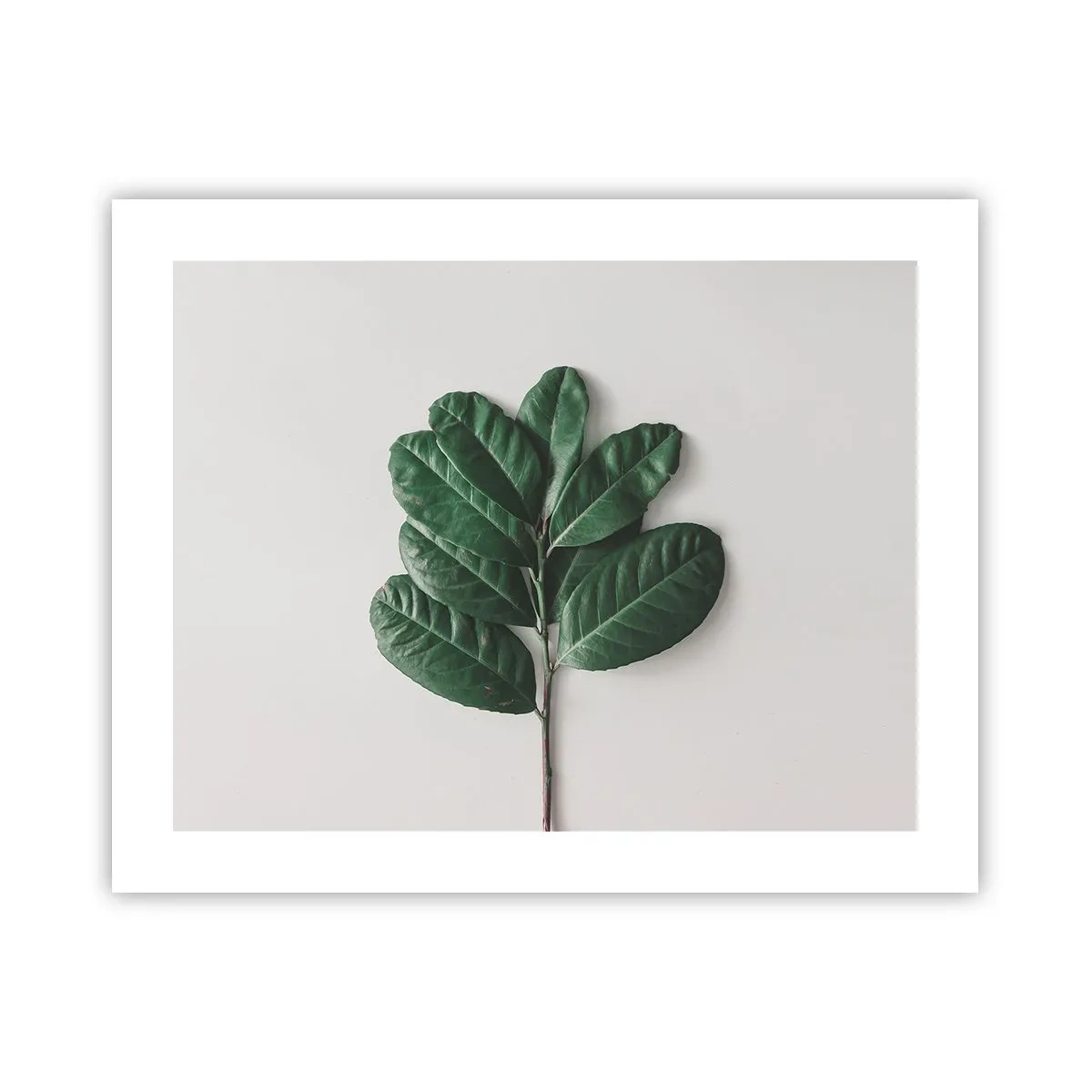 Poster - Een tekening van de pure natuur - 50x40 cm