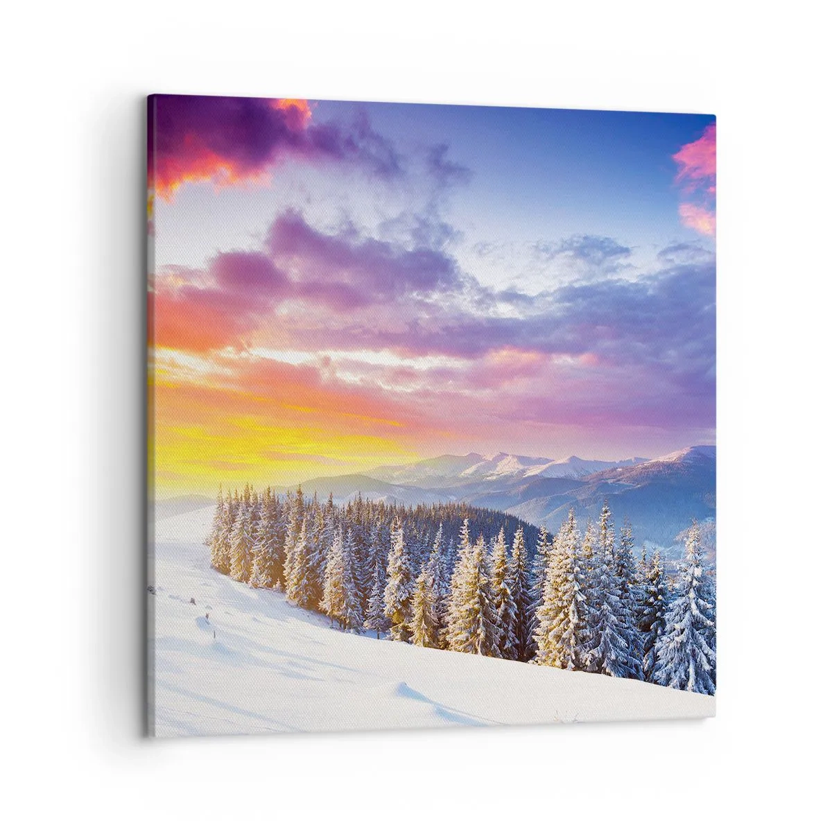 Schilderen op canvas - Op klaarlichte dag - 50x50 cm