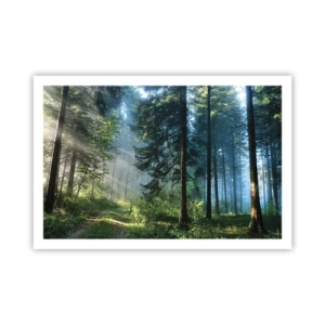 Poster - Stralend in de ochtend - 91x61 cm