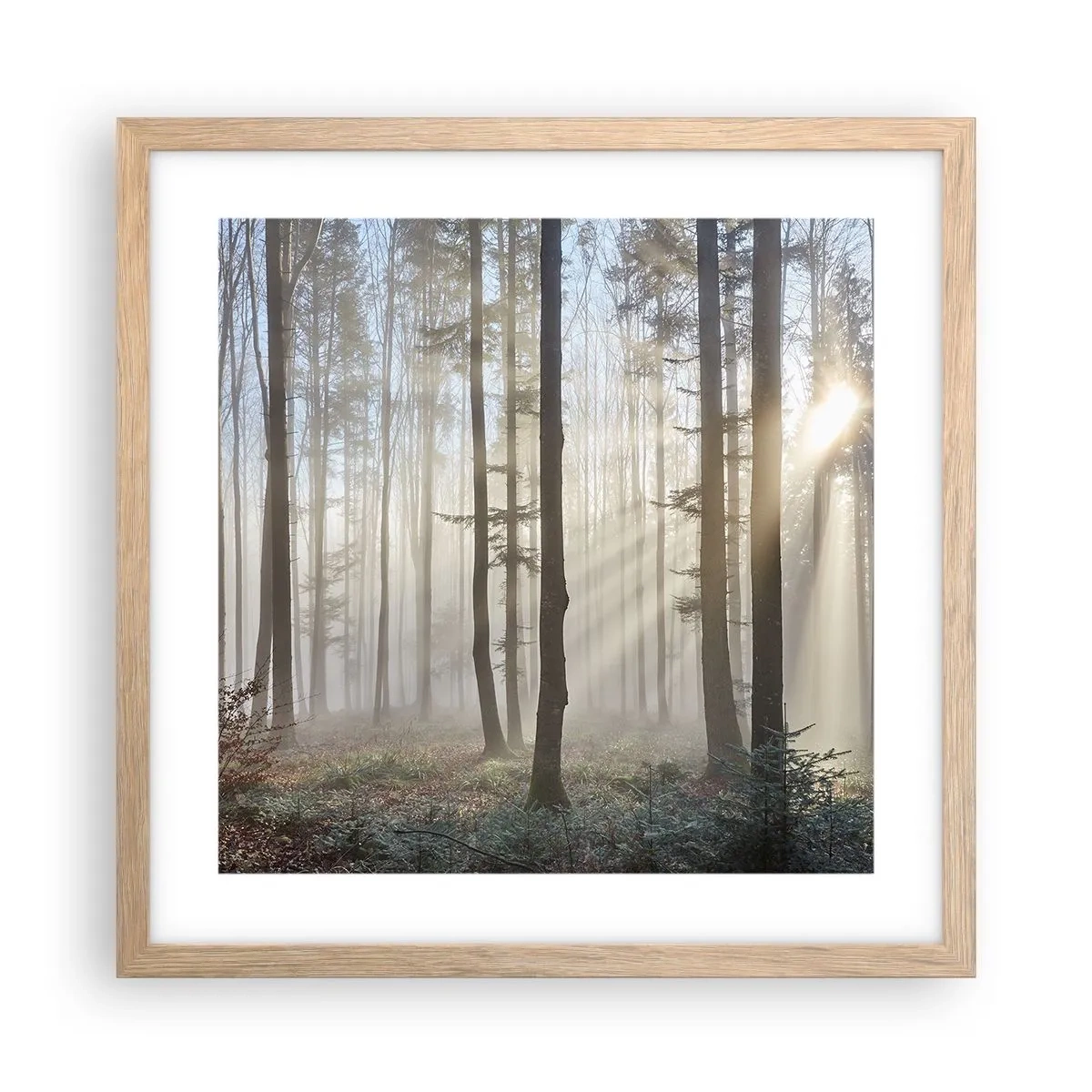 Een poster in een licht eiken lijst - De mist werd ook wakker - 40x40 cm
