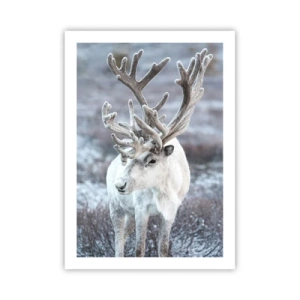 Poster - Portret in de zon - 50x70 cm