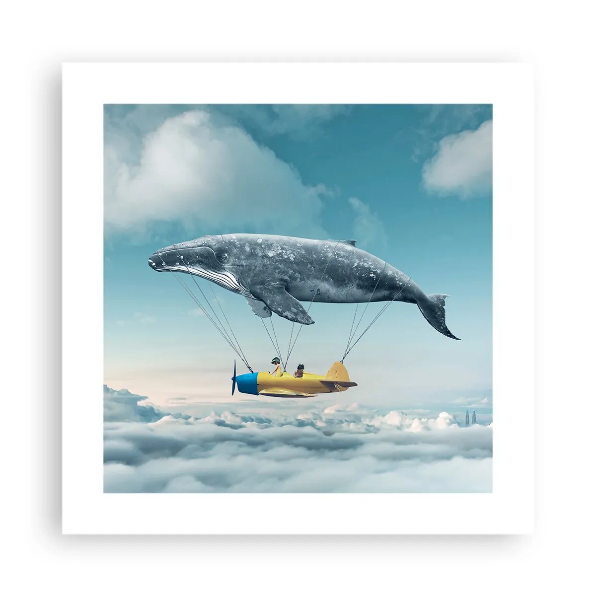 Poster - Waarom niet? - 40x40 cm