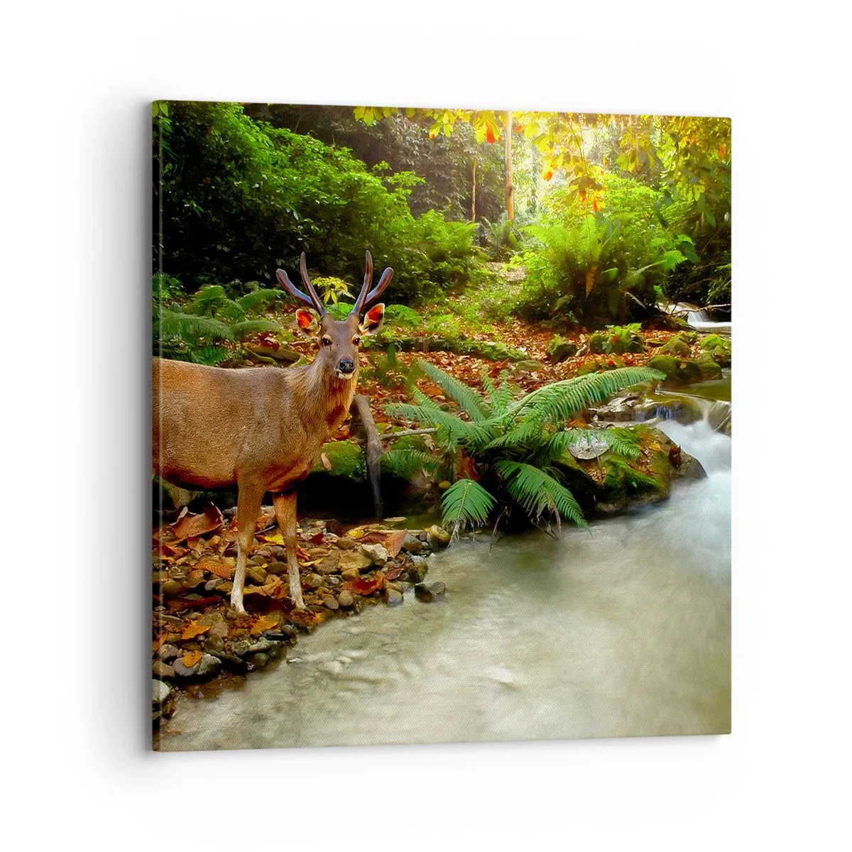 Schilderen op canvas - Welkom in mijn wereld - 70x70 cm