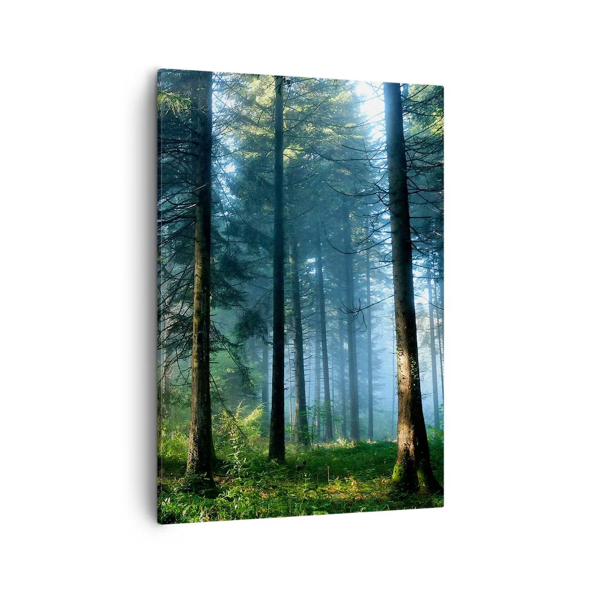 Schilderen op canvas - Stralend in de ochtend - 50x70 cm