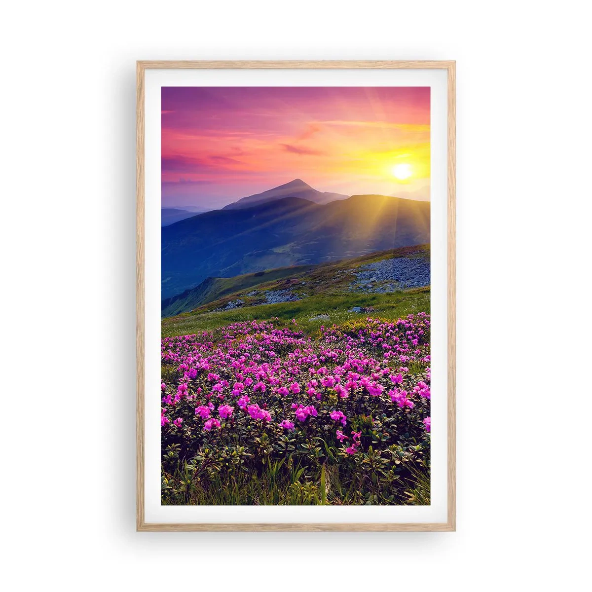 Een poster in een licht eiken lijst - … En eromheen ruikt het naar bergdennen en de geur van kruiden - 61x91 cm