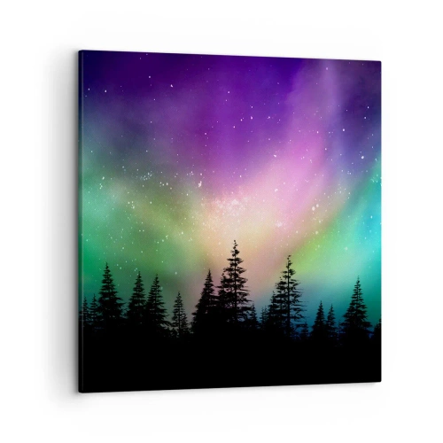 Schilderen op canvas - Witte magie - 50x50 cm