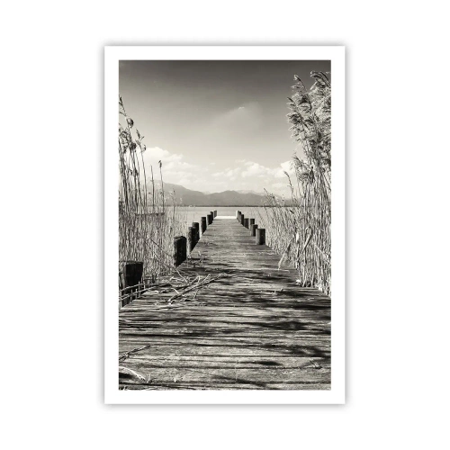 Poster - In de stilte van het gras - 61x91 cm