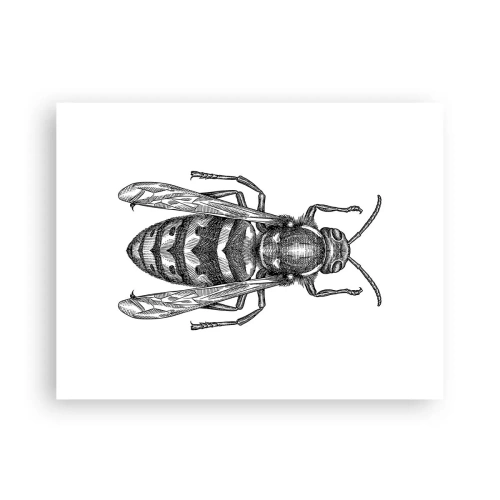 Poster - Van een insectenplaneet - 40x30 cm