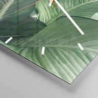 Dash schild