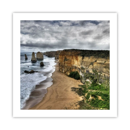 Poster - Rauwe schoonheid - 50x50 cm