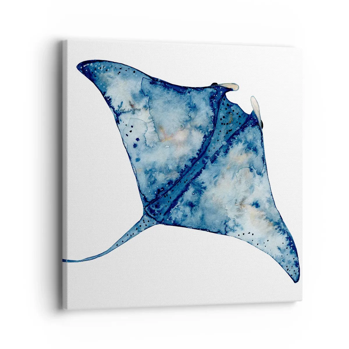 Schilderen op canvas - Leven in blauw - 40x40 cm