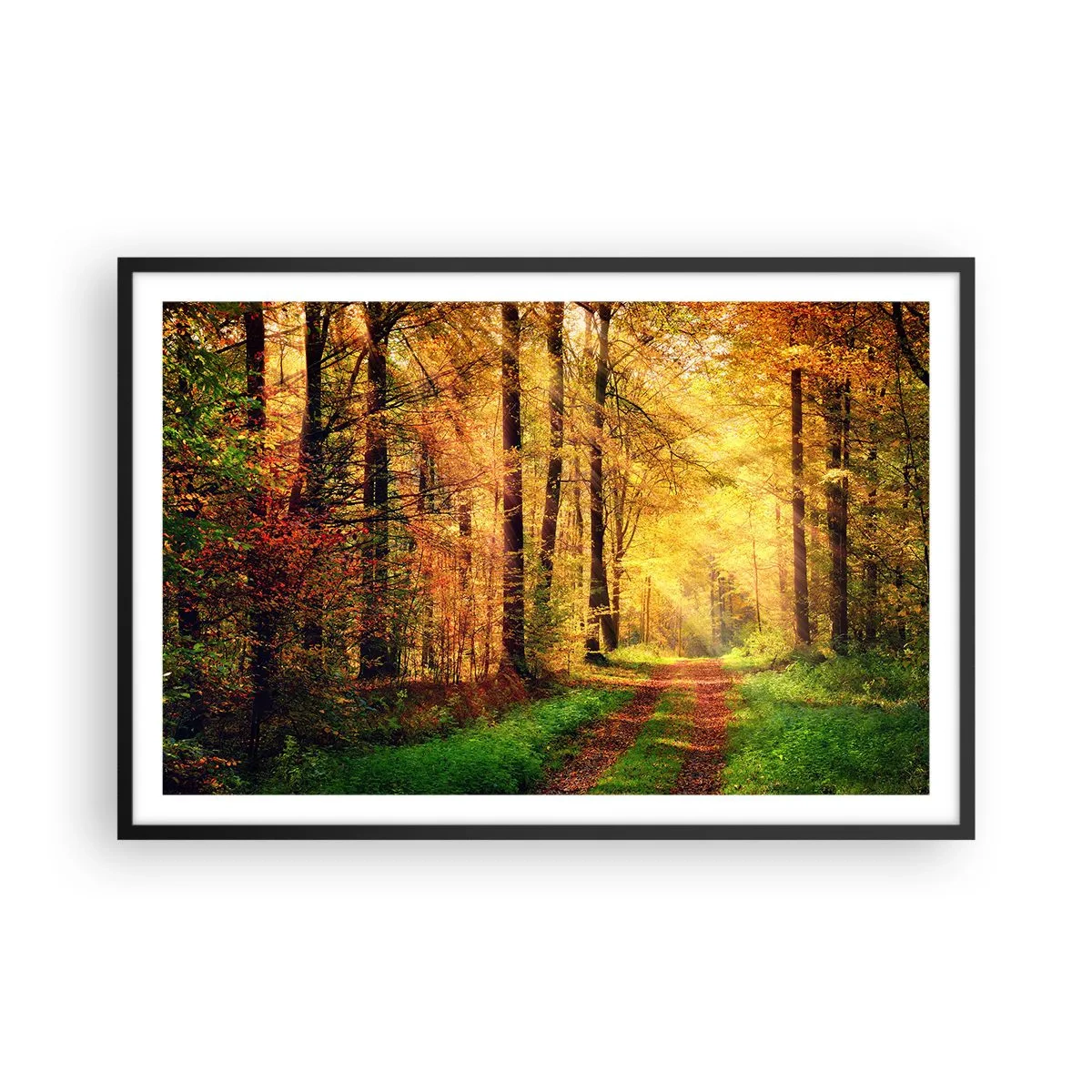 Poster in een zwarte lijst - Bos-gouden stilte - 91x61 cm