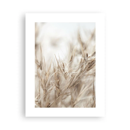 Poster - Weide en wind - 30x40 cm