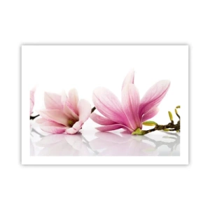 Poster - Delicaat als een lentebriesje - 70x50 cm