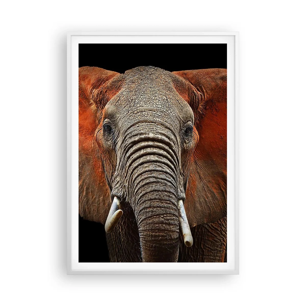 Poster in een witte lijst - Ik ben wild, en jij? - 70x100 cm