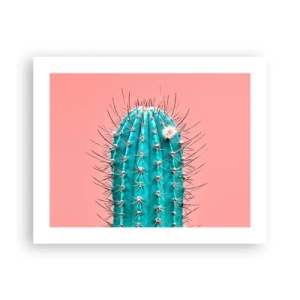 Poster - Kijk gewoon - 50x40 cm