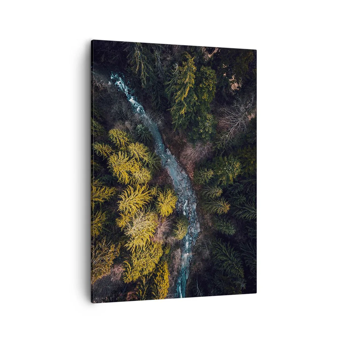 Schilderen op canvas - Snel, sneller en sneller - 50x70 cm